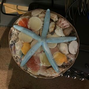 Basket full of Perfect Shells